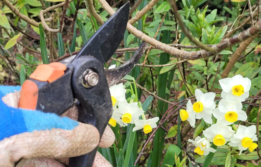 Outdoor Jobs for the Spring